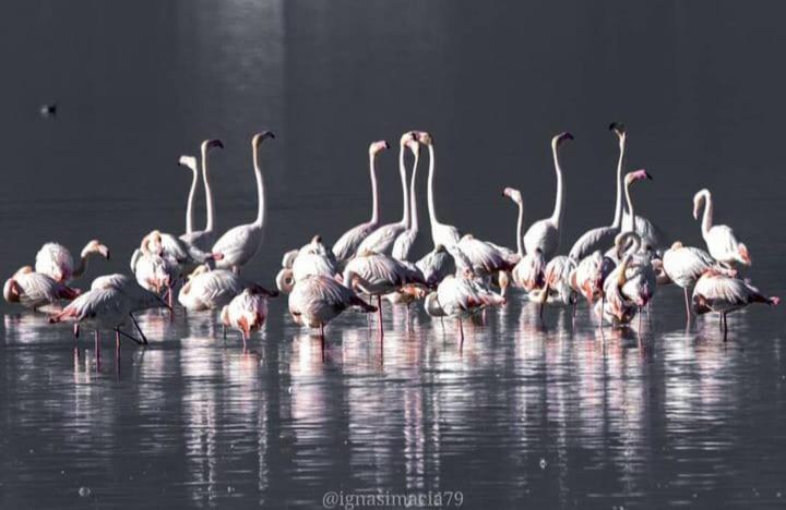 Delta Natura La Tancada * Amposta