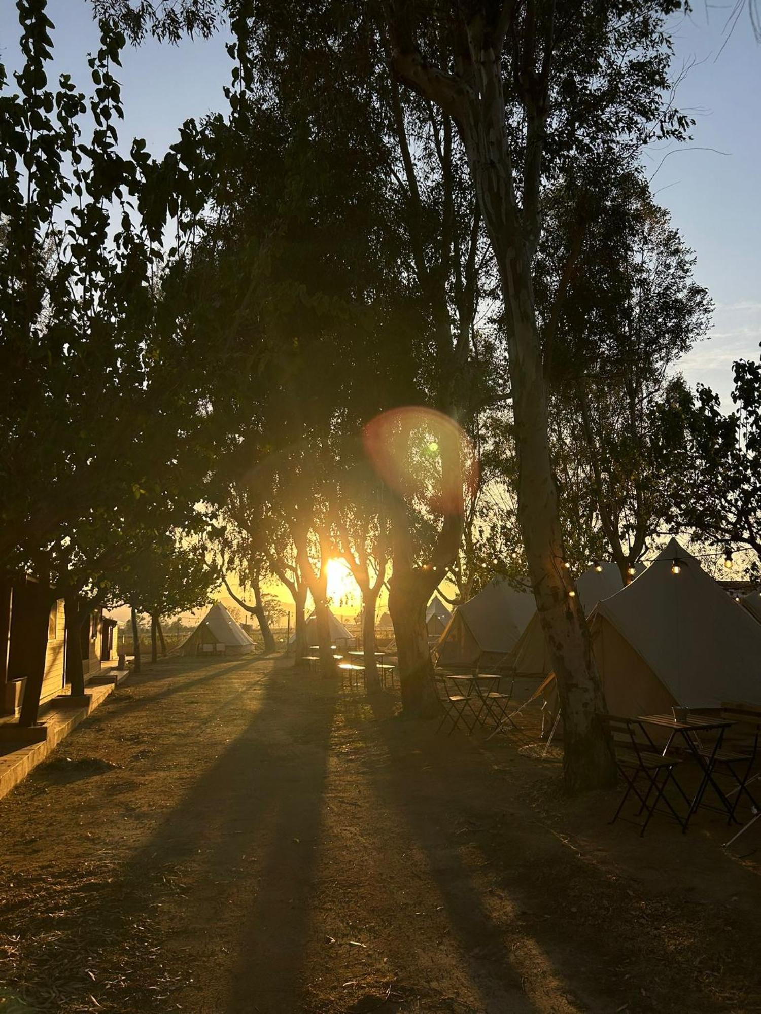 Campsite Delta Natura La Tancada *