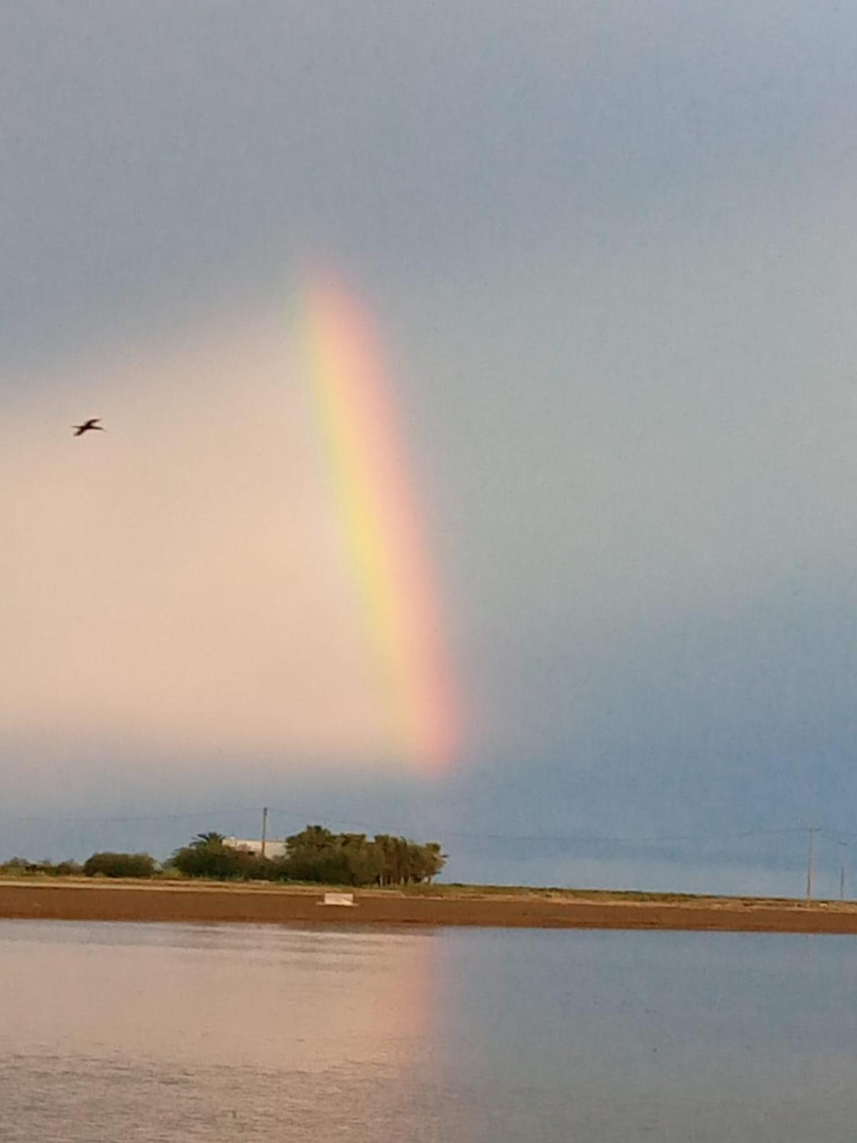 Delta Natura La Tancada * Amposta